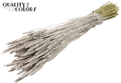 Droogbl Bewerkt H% 60cm 220gram