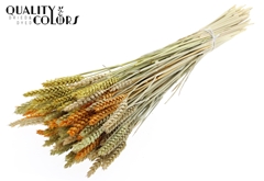 Droogbl Bewerkt H% 60cm 220gram