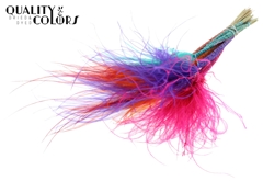 Stypha P Colourful 4 60cm