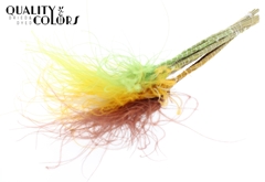 Stypha P Summer Mix 60cm