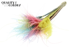 Stypha P Earth Mixed 60cm