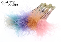 Stypha P Earth Mixed 60cm