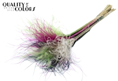 Stypha P Colourful 8 60cm