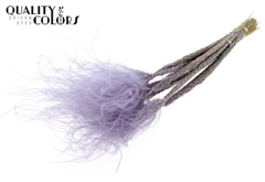 Stypha P Pastel Milka 60cm