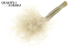 Stypha P Natural 60cm
