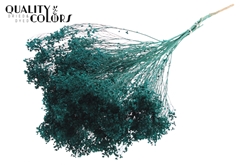 Broom Bl. Turquoise 50cm