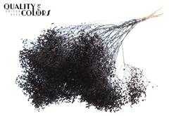Broom Bl. Black 50cm