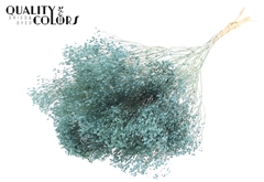 Broom Bl. Fr. Li. Blue 50cm