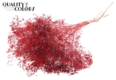 Broom Bl. Red 50cm