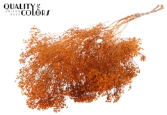 Broom Bl. Orange 50cm
