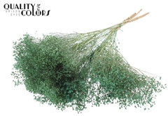 Broom Bl. Fr. Mint 50cm