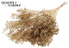 Broom Bl. Ant. Gold 50cm