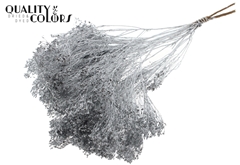 Broom Bl. Silver 50cm