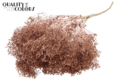 Broom Bl. Copper 50cm