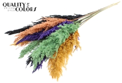 Pampas 70cm Autumn Mix 70cm
