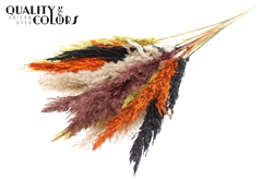 Pampas 70cm Autumn Mix 70cm