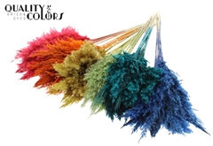 Pampas 70cm Autumn Mix 70cm