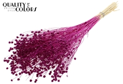 Lino Vlas Bl Lilac 70cm