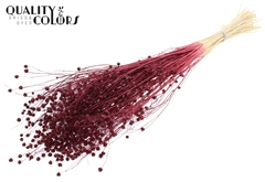 Lino Vlas Bl Bordeaux 70cm