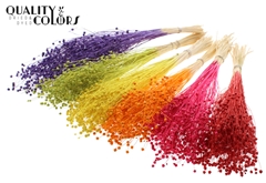 Lino Vlas Bl Mixed 70cm