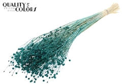 Lino Vlas Bl Turquoise 70cm