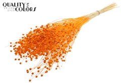 Lino Vlas Bl Orange 70cm