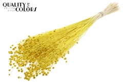 Lino Vlas Bl Yellow 70cm
