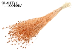 Lino Vlas Bl Fr Salmon 70cm