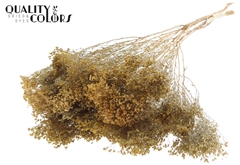 Broom Bl. Natural 50cm