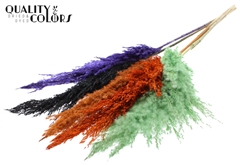 Pampas 1m Autumn Mix 100cm