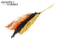 Pampas 1m Autumn Mix 100cm