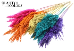 Pampas 1m Autumn Mix 100cm