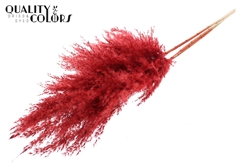 Pampas 1m Red 100cm