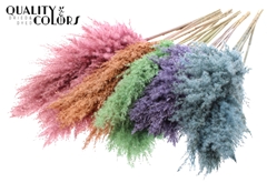 Pampas 1m Mixed Frosted 100cm