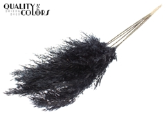 Pampas 1m Black 100cm