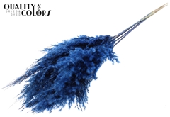 Pampas 1m Blue 100cm
