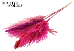 Pampas 1m Love Mix 100cm