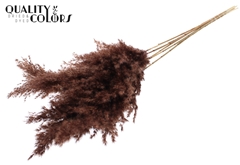 Pampas 1m Brown 100cm