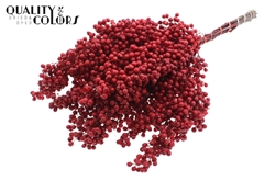 Pepperberries Red 170gram