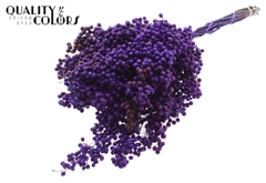 Pepperberries Purple 170gram