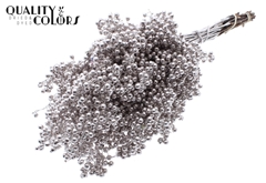Pepperberries Champagne 170gram