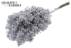 Pepperberries Silver 170gram