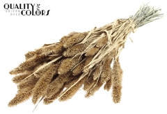 Setaria Ant. Gold+Glit 70cm 200gram