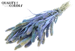 Setaria Bico Li. Blue 70cm 200gram