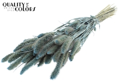 Setaria Pearl Li. Blue 70cm 200gram