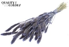 Setaria Pearl Milka 70cm 200gram
