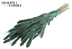 Setaria Pearl Green 70cm 200gram
