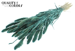 Setaria Pearl Turquoise 70cm 200gram