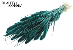 Setaria Turquoise 70cm 200gram