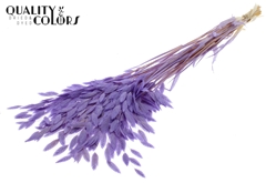 Droogbl Bewerkt H% 70cm 150gram